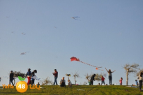  الأربعاء القادم: أطفال يافا يرفعون الطائرات الورقية في الذكرى الـ70 للنكبة